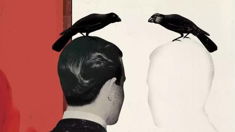 一条会照镜子的鱼,泛起认知领域的水花